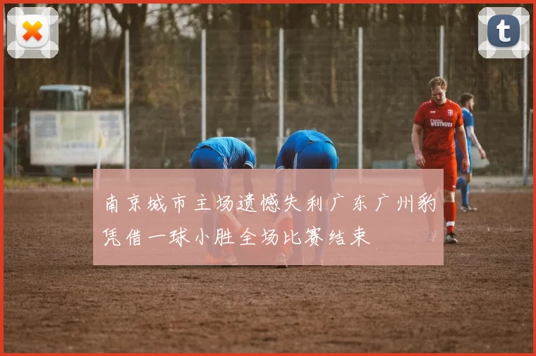 南京城市主场遗憾失利广东广州豹凭借一球小胜全场比赛结束
